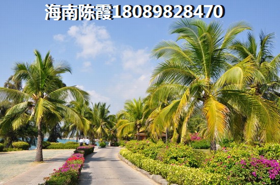 腾飞时代 两居  户型图