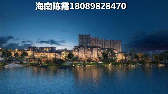 东皇先锋 两居  户型图