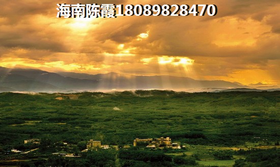 万龙名城 两居  户型图