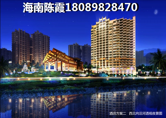 先行国际 两居  户型图