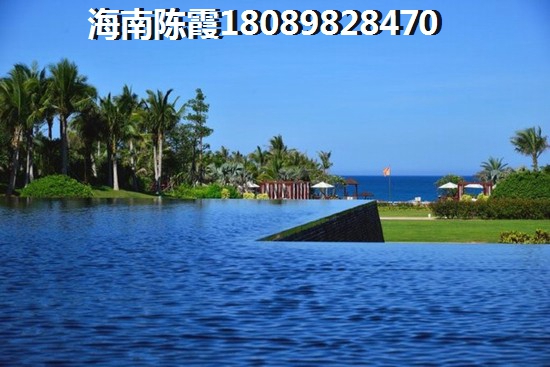 先行国际 两居  户型图