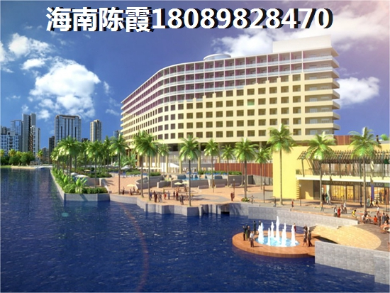 先行国际 两居  户型图