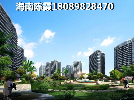 证大光明城 两居  户型图