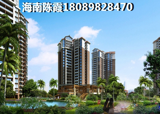 金坐标 一居  户型图