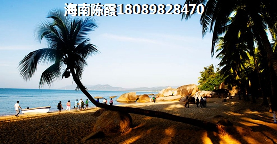 长影世纪村四期 一居  户型图