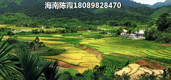 中机长春物流科技园